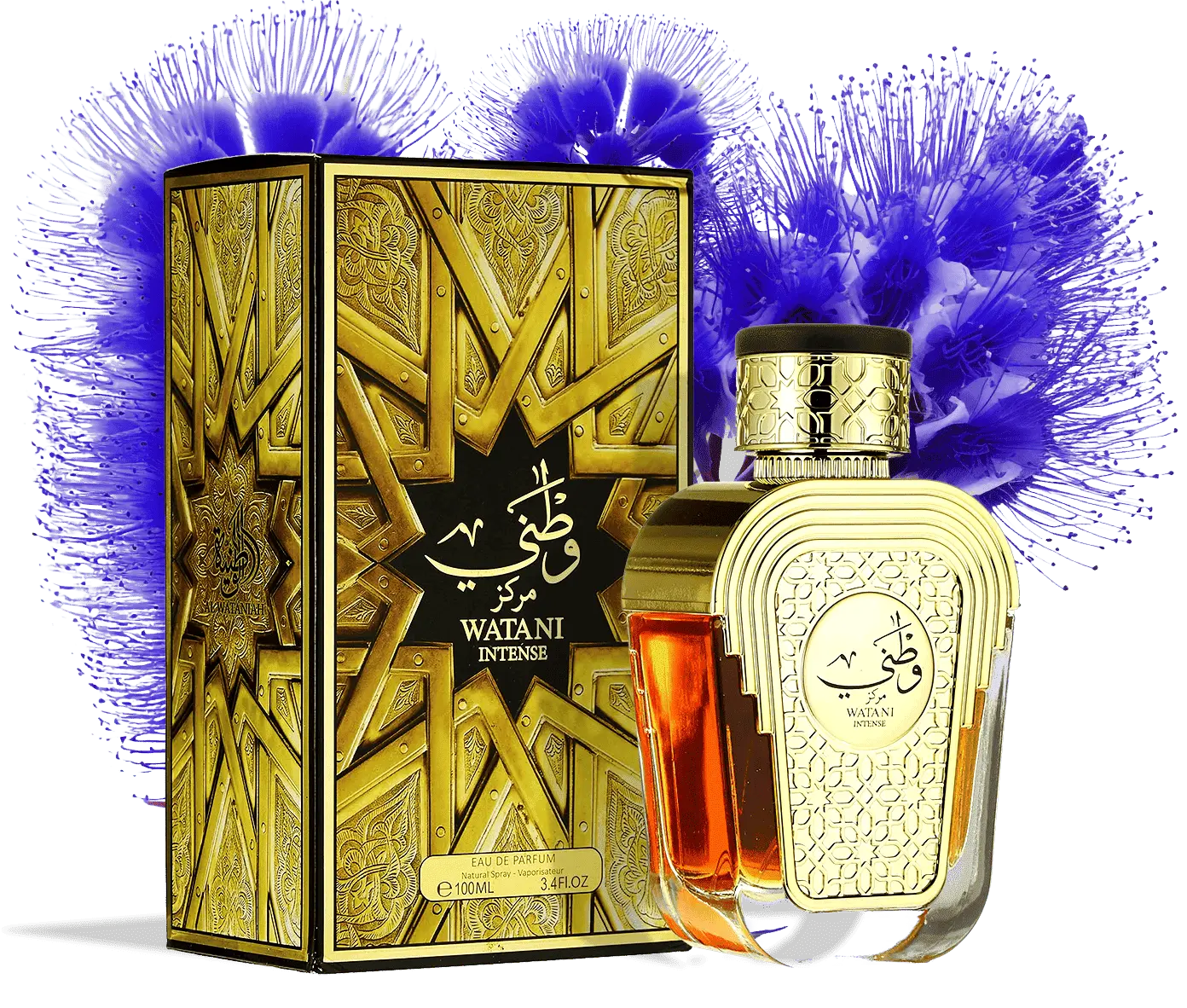 Watani Intense Gold